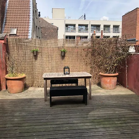 Spacious Duplex With Terrace In The Middle Of The Center Apartment
