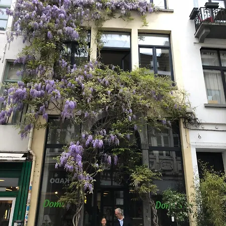 Spacious Duplex With Terrace In The Middle Of The Center Апартаменты *