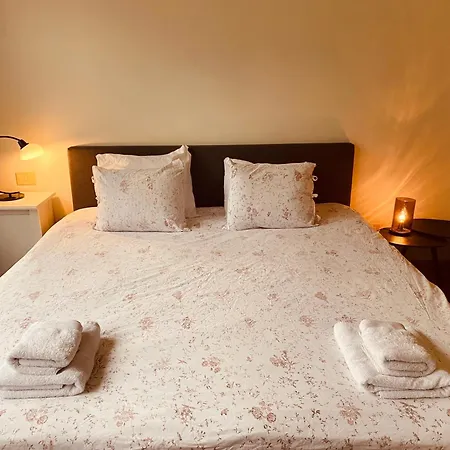 Apartment Spacious Duplex With Terrace In The Middle Of The Center Ghent