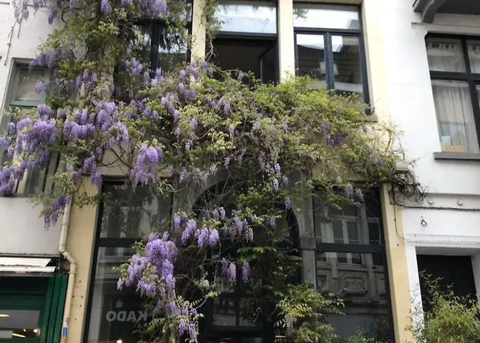 Spacious Duplex With Terrace In The Middle Of The Center Appartement *